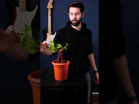 product-video-E1060168-1