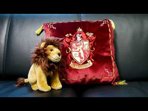 product-video-E1061012-1