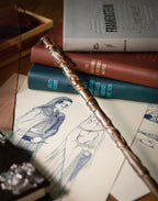 Image produit Baguette de Hermione Granger
