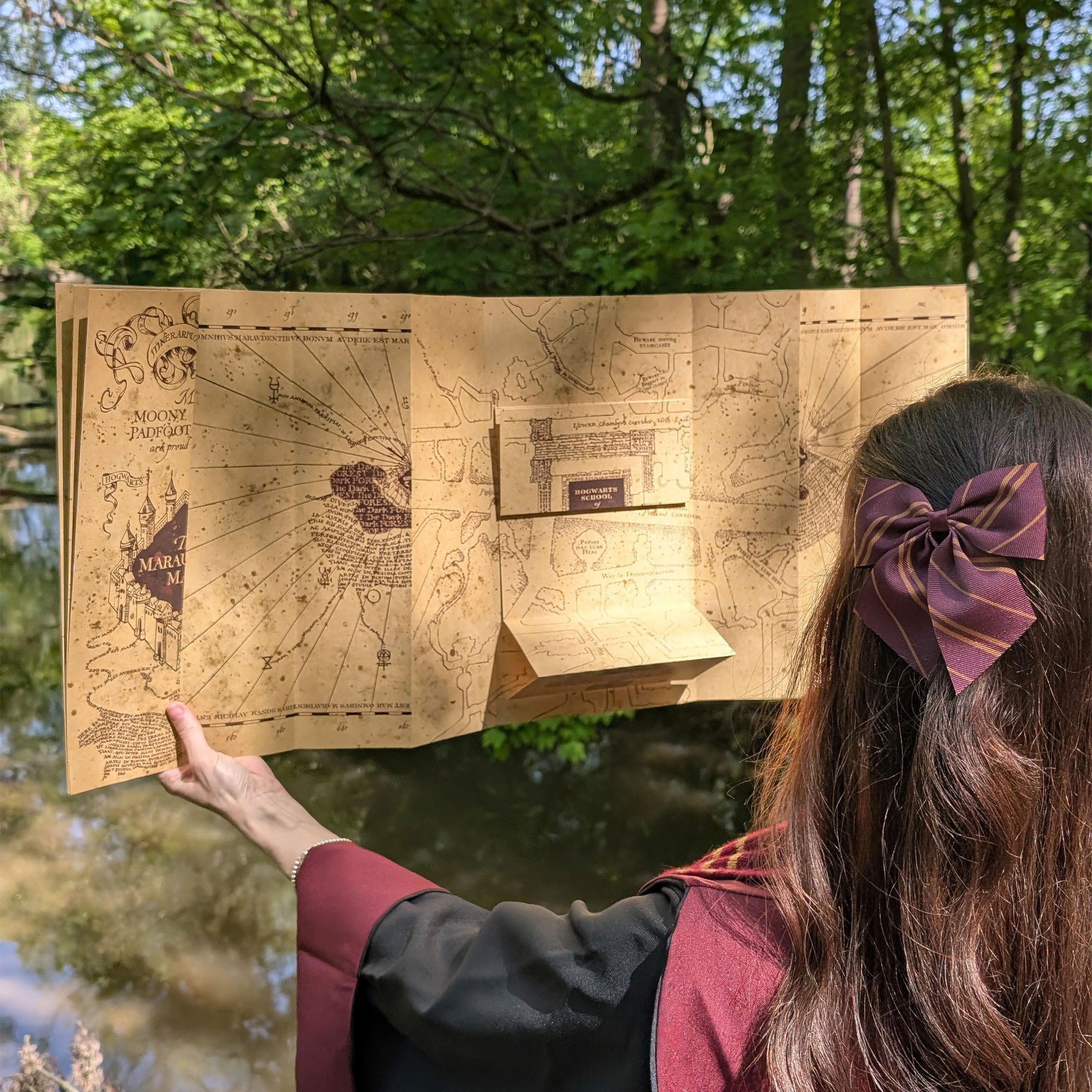 Image produit La Carte du Maraudeur