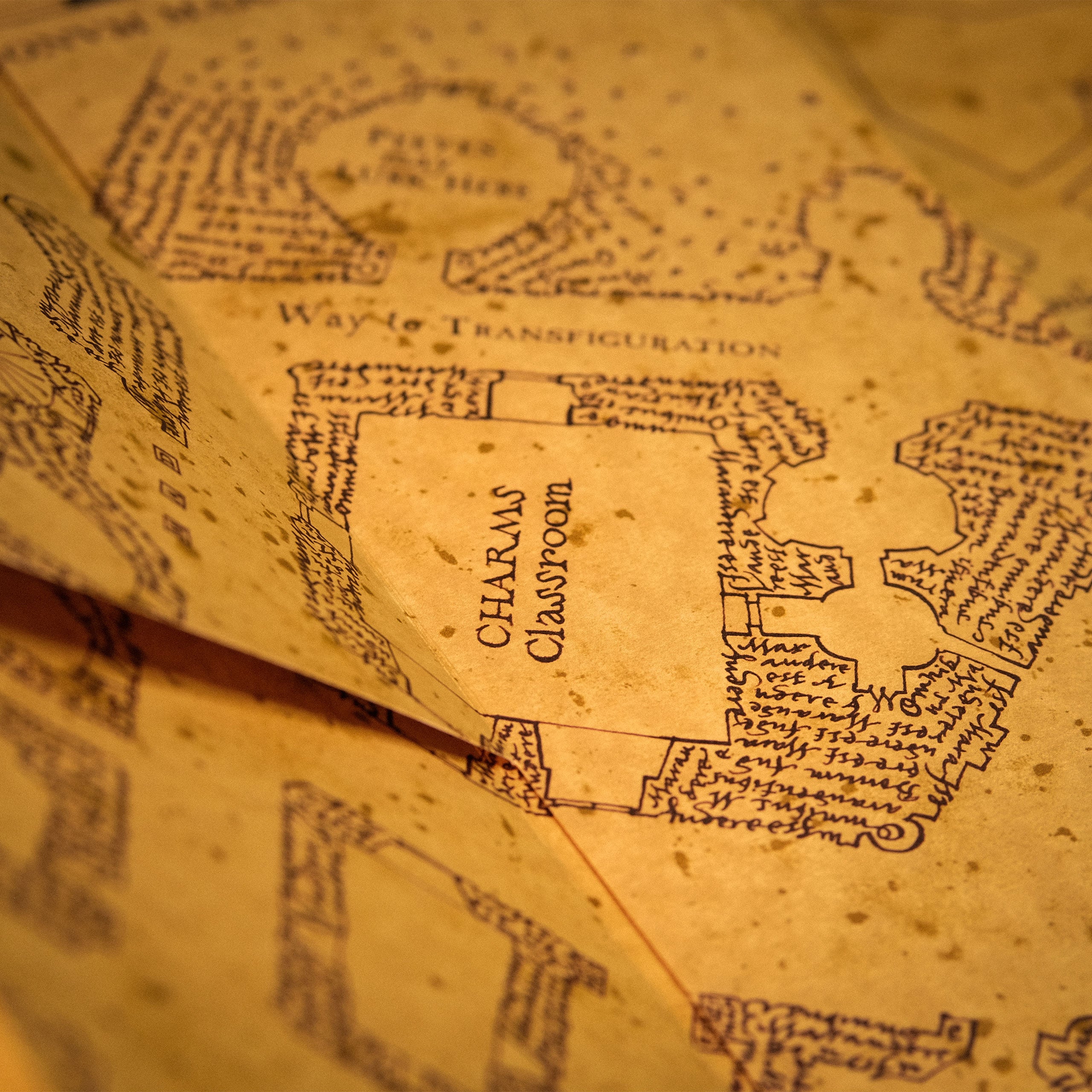 Image produit La Carte du Maraudeur