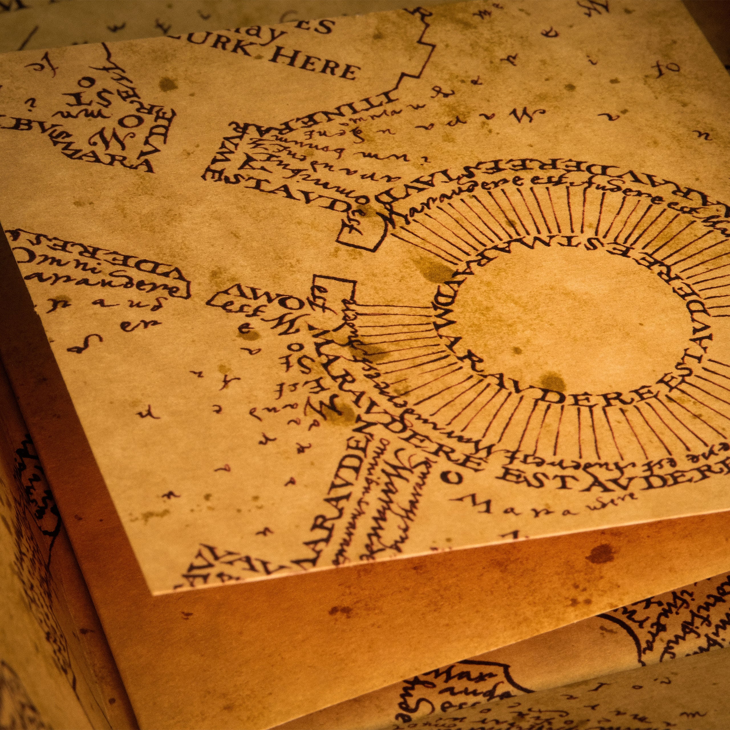 Image produit La Carte du Maraudeur
