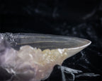 Image produit Le Calice de Cristal