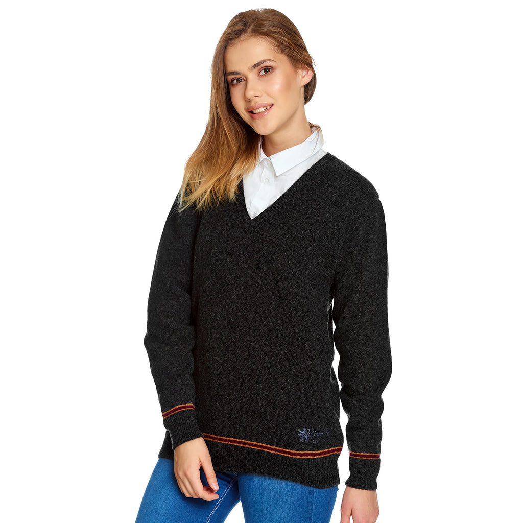 Image produit Harry Potter - Pull Gryffondor