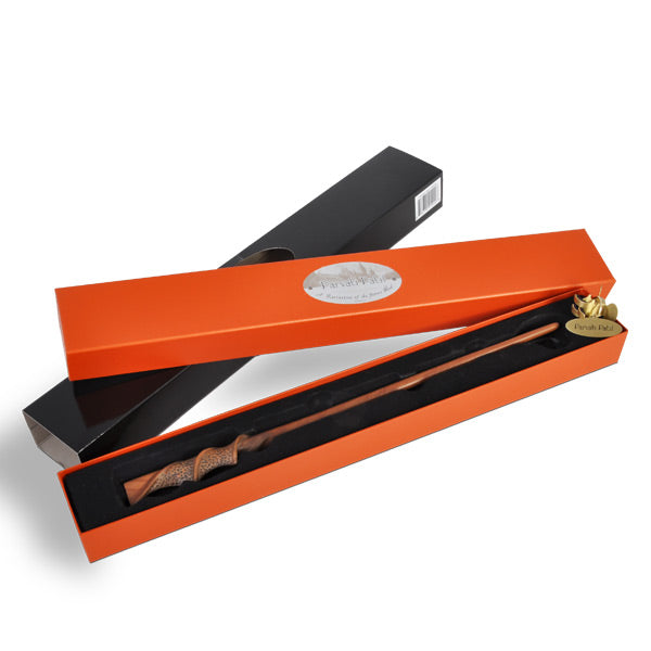 Image produit Baguette de Parvati Patil - Édition Caractère