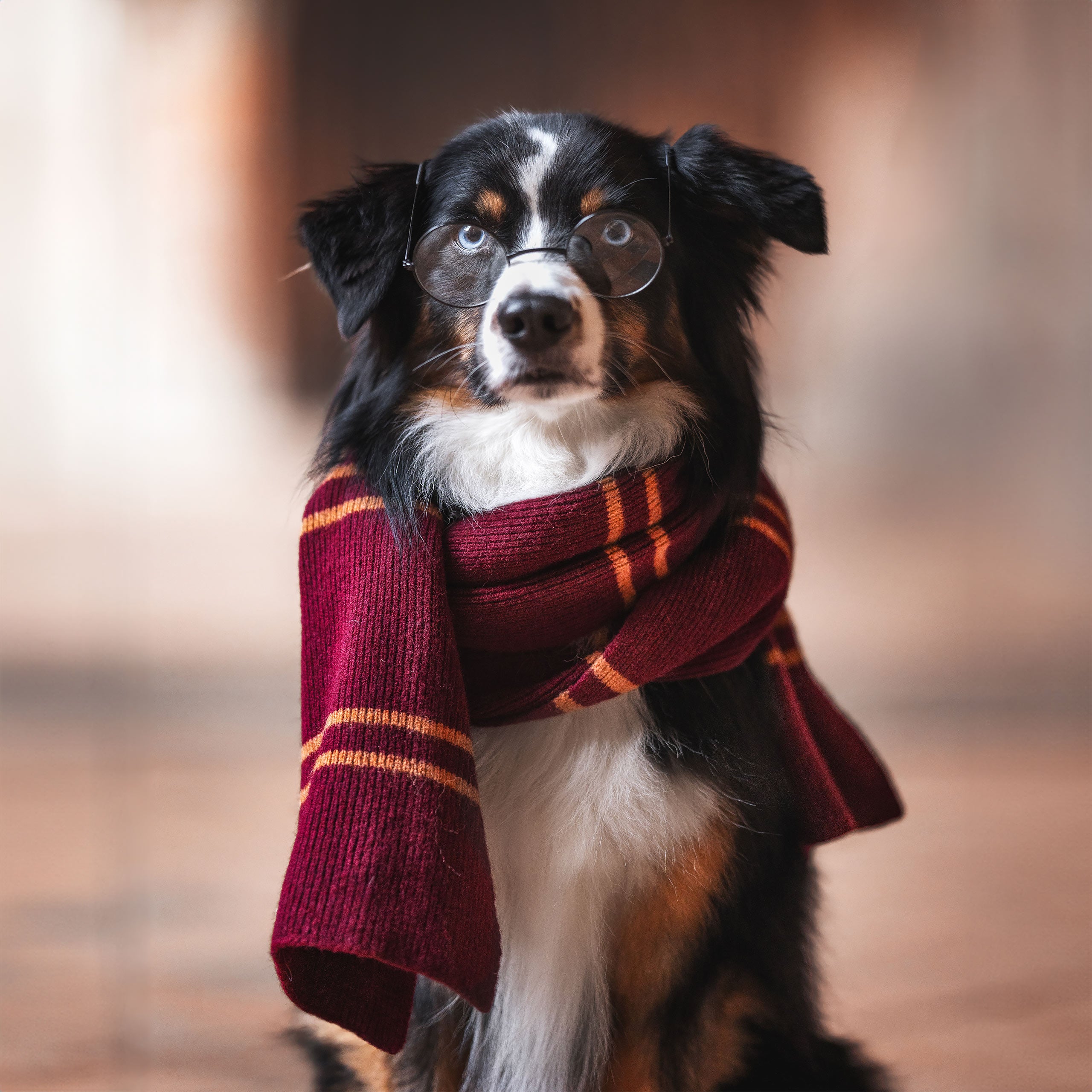 Image produit Harry Potter - Écharpe Gryffondor en laine originale