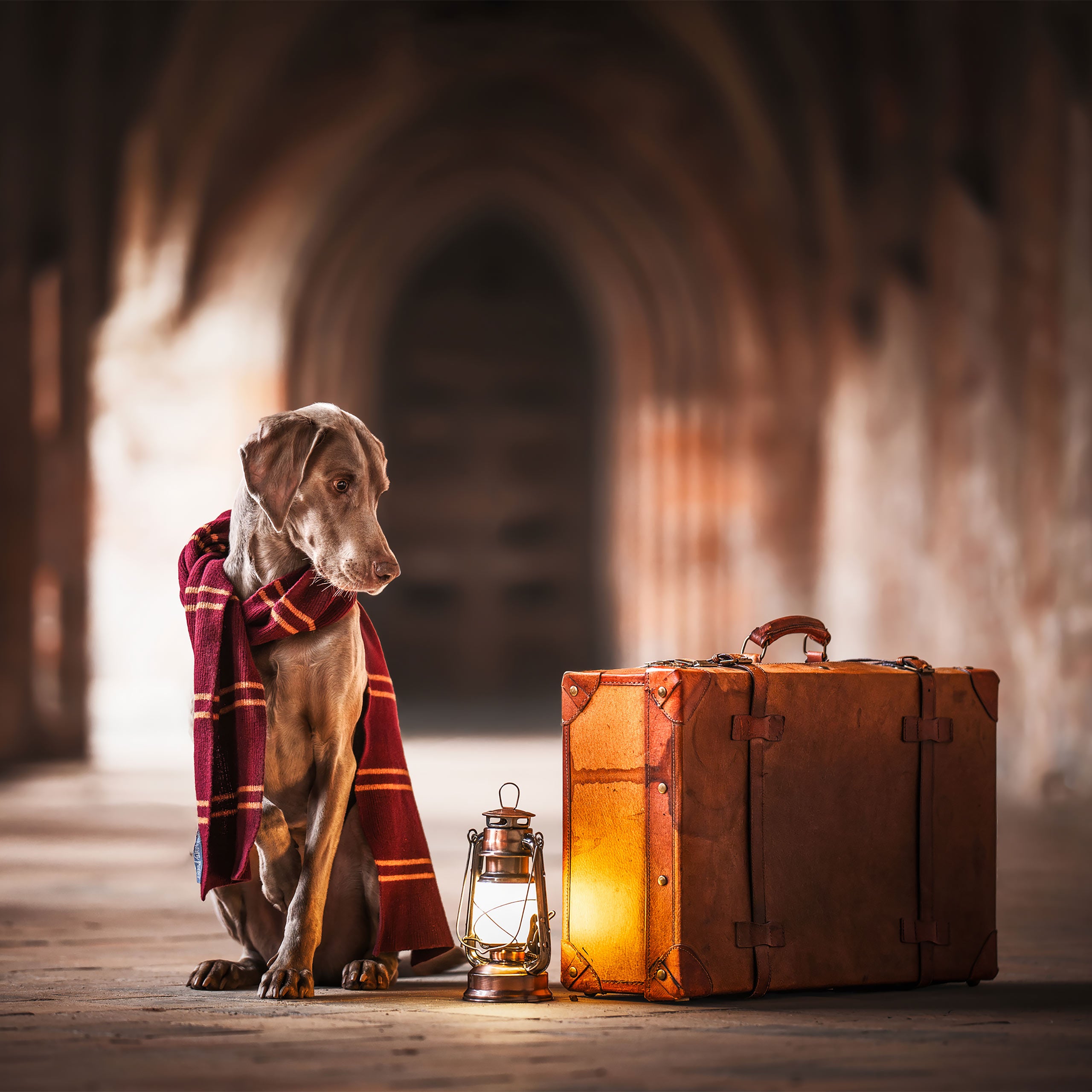 Image produit Harry Potter - Écharpe Gryffondor en laine originale