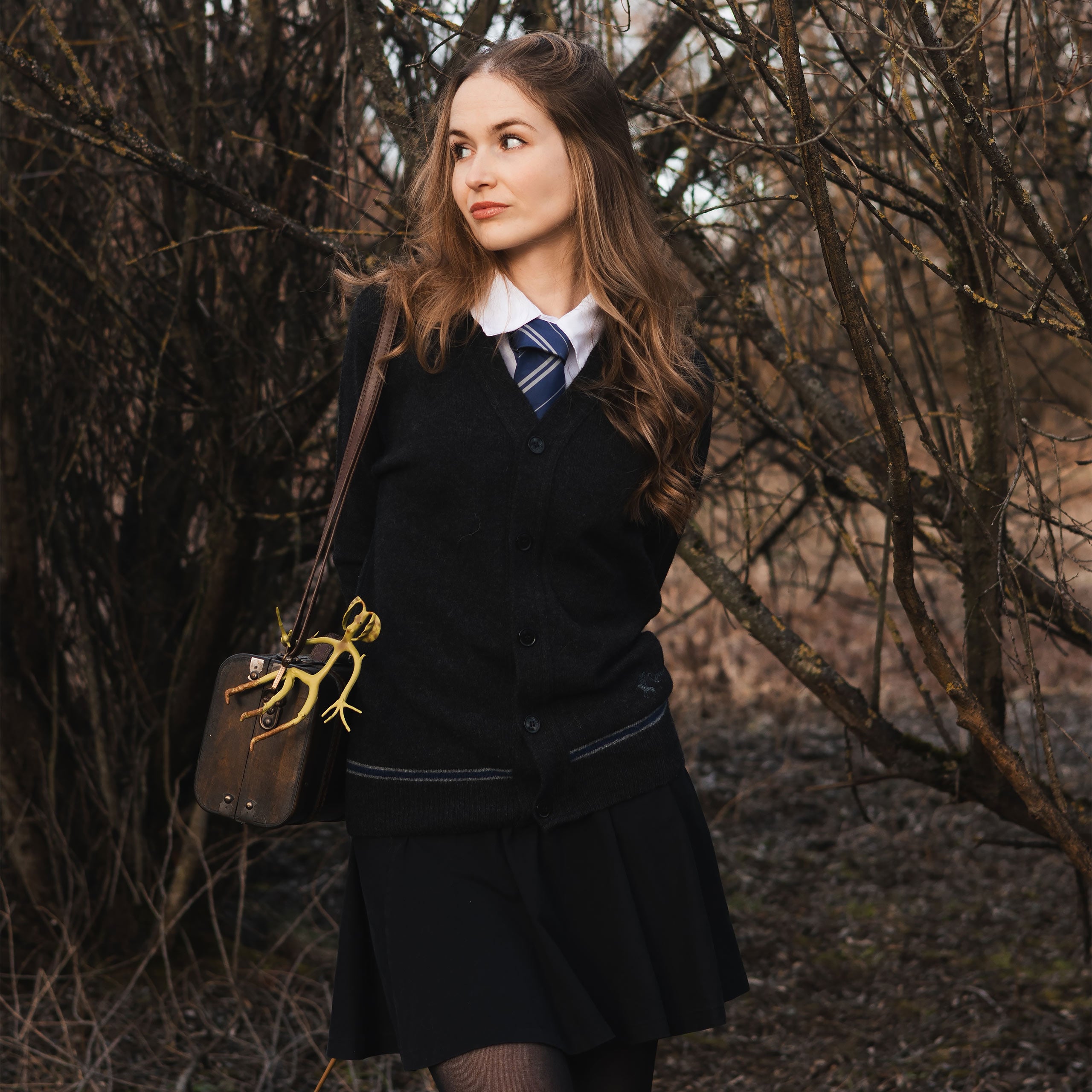 Image produit Harry Potter - Cardigan Ravenclaw