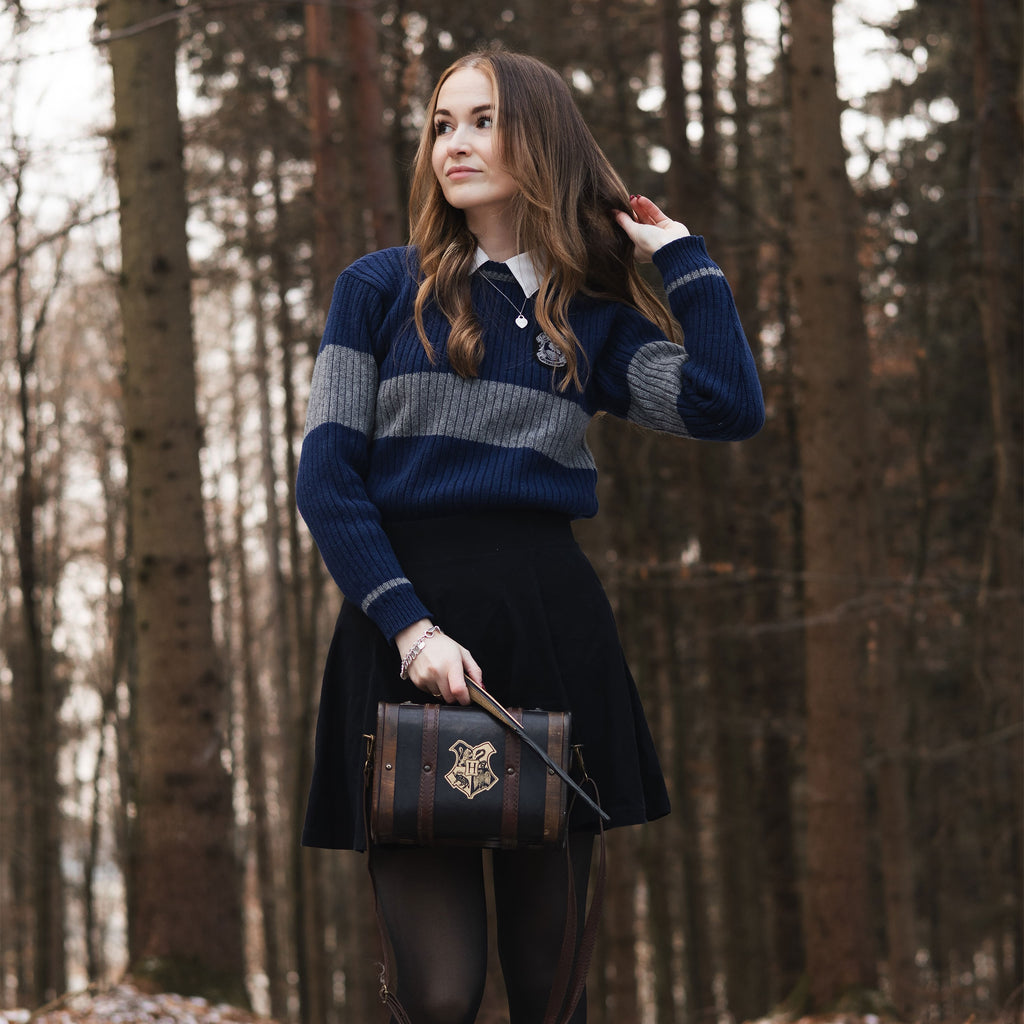 Image produit Harry Potter - Pull de Quidditch Ravenclaw