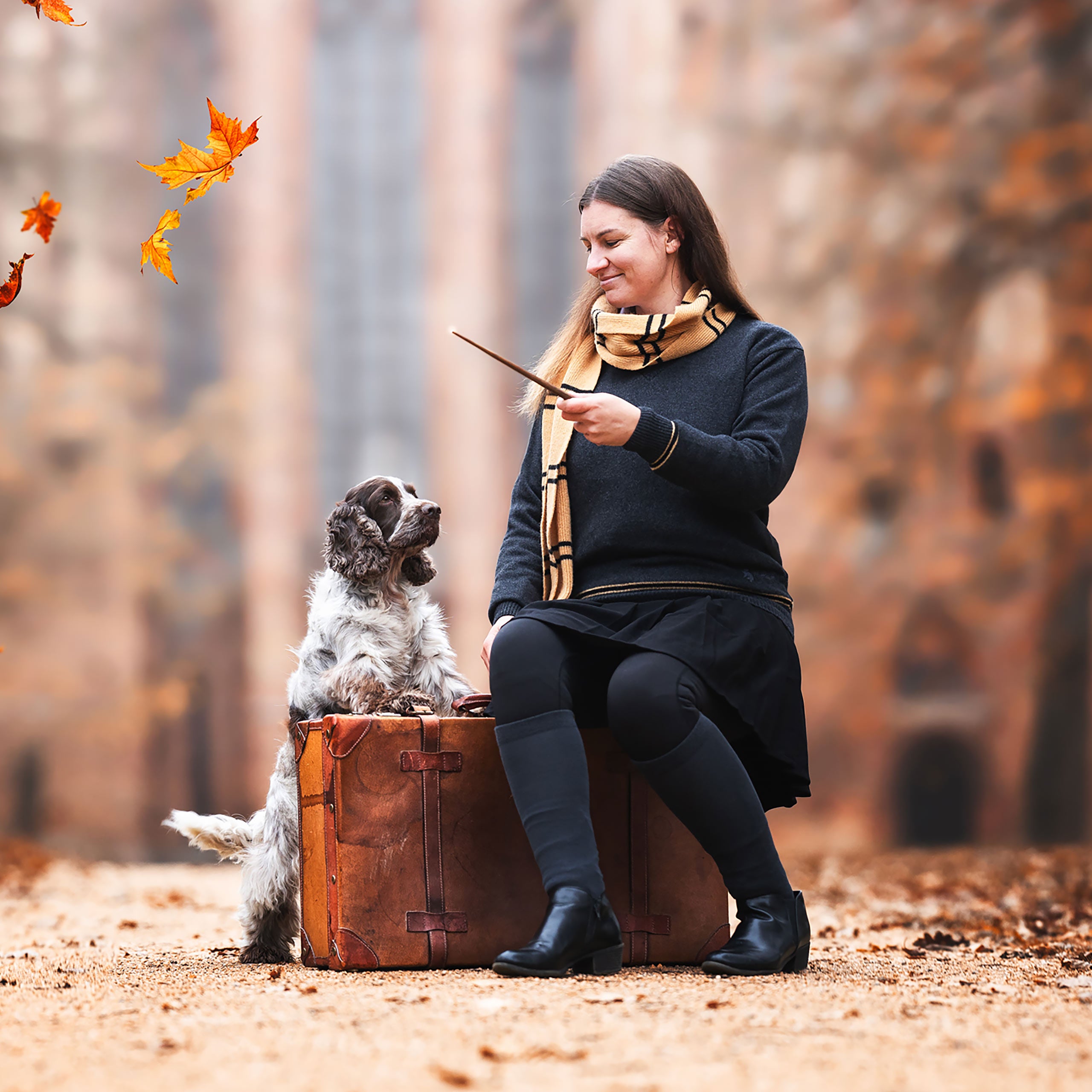 Image produit Harry Potter - Original Écharpe en laine Hufflepuff