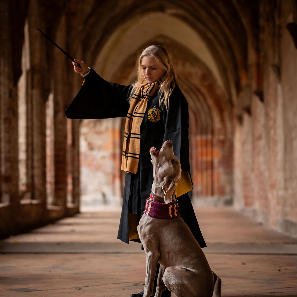 Image produit Harry Potter - Original Écharpe en laine Hufflepuff