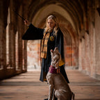 Image produit Harry Potter - Original Écharpe en laine Hufflepuff