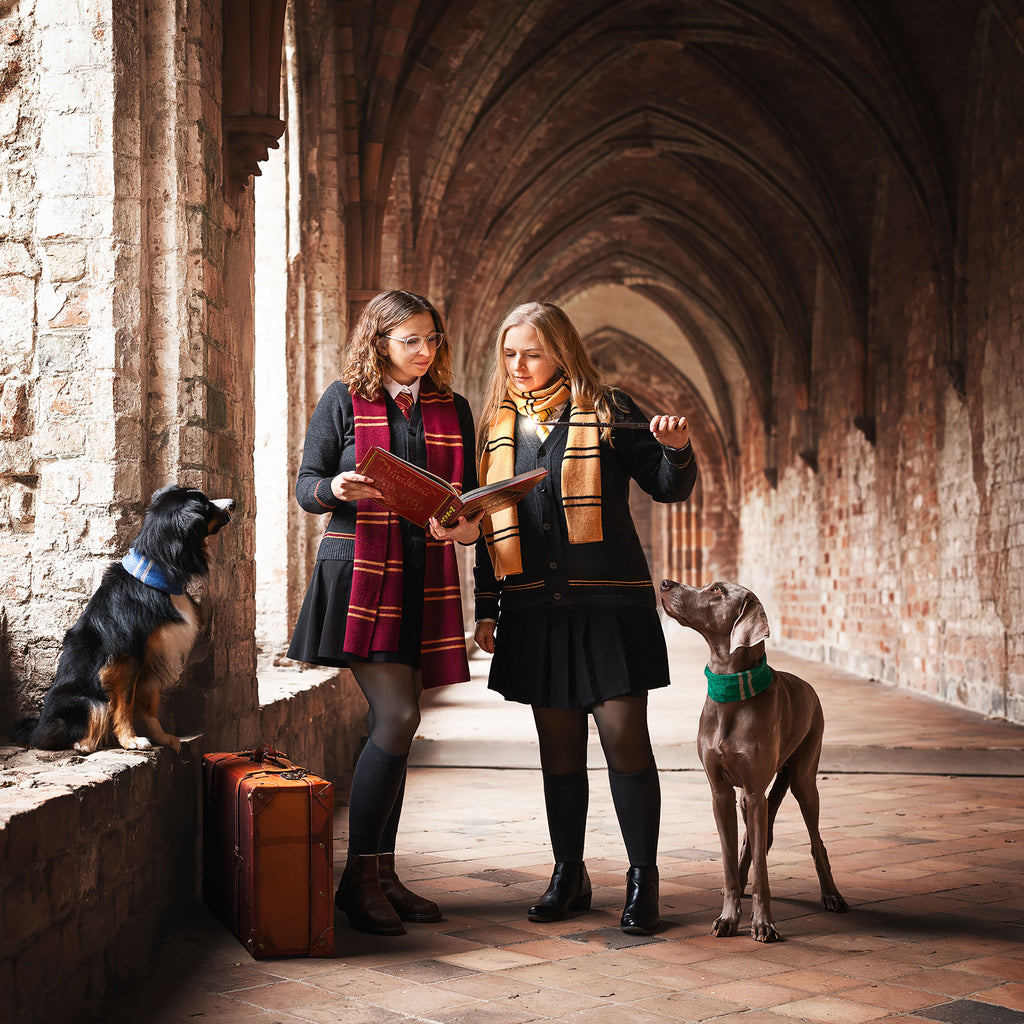 Image produit Harry Potter - Original Écharpe en laine Hufflepuff
