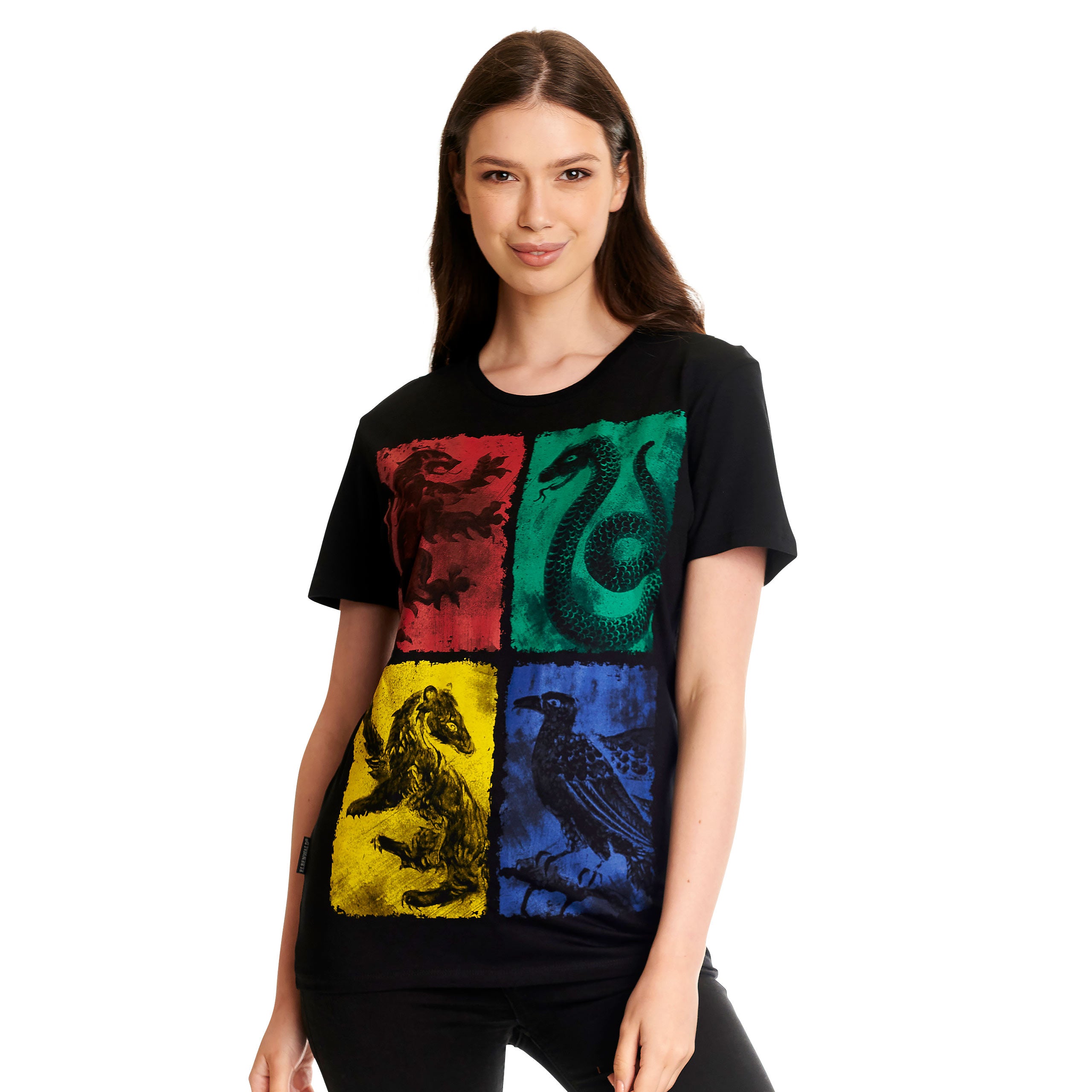 Image produit Harry Potter - Armoiries de Hogwarts en détresse T-shirt noir