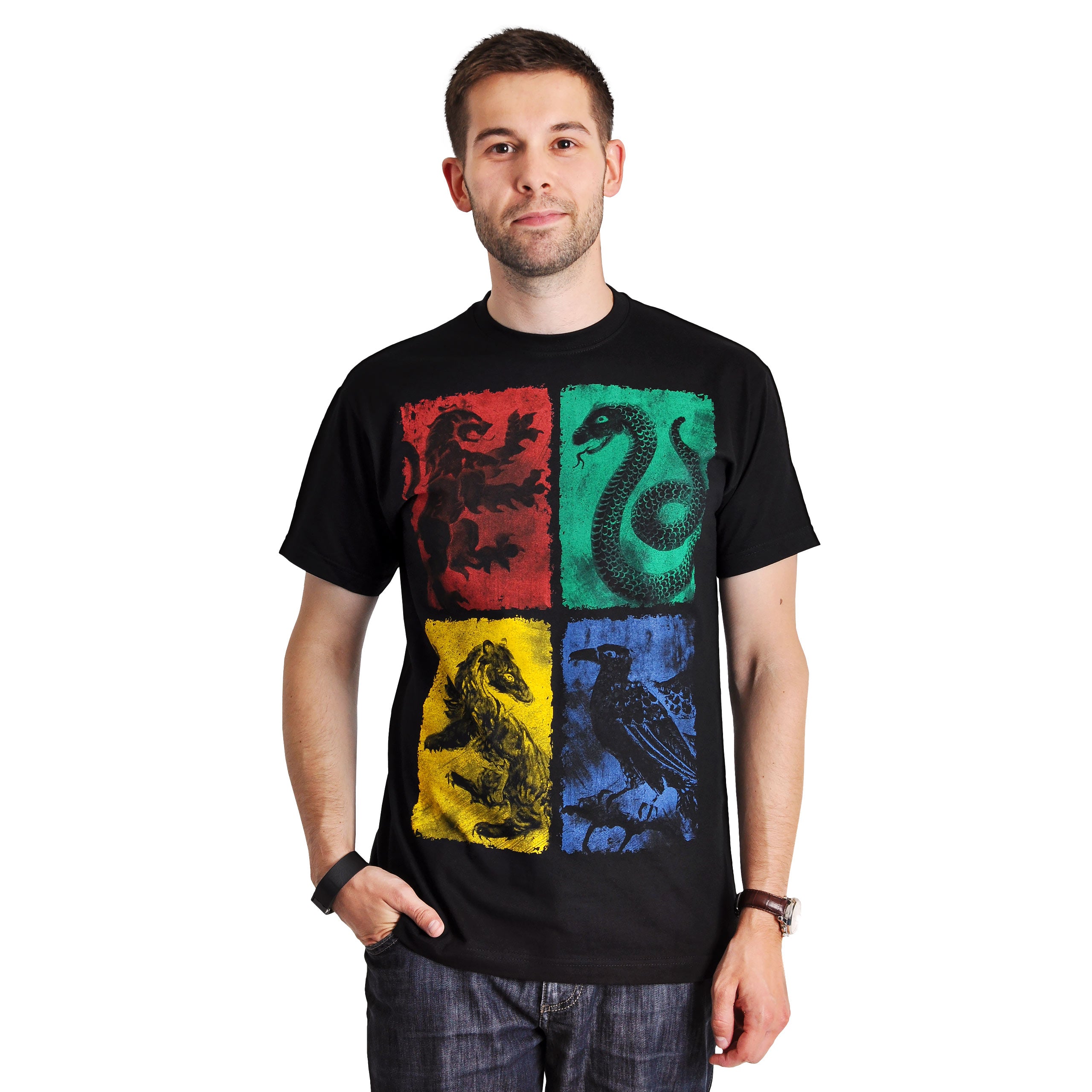 Image produit Harry Potter - Armoiries de Hogwarts en détresse T-shirt noir