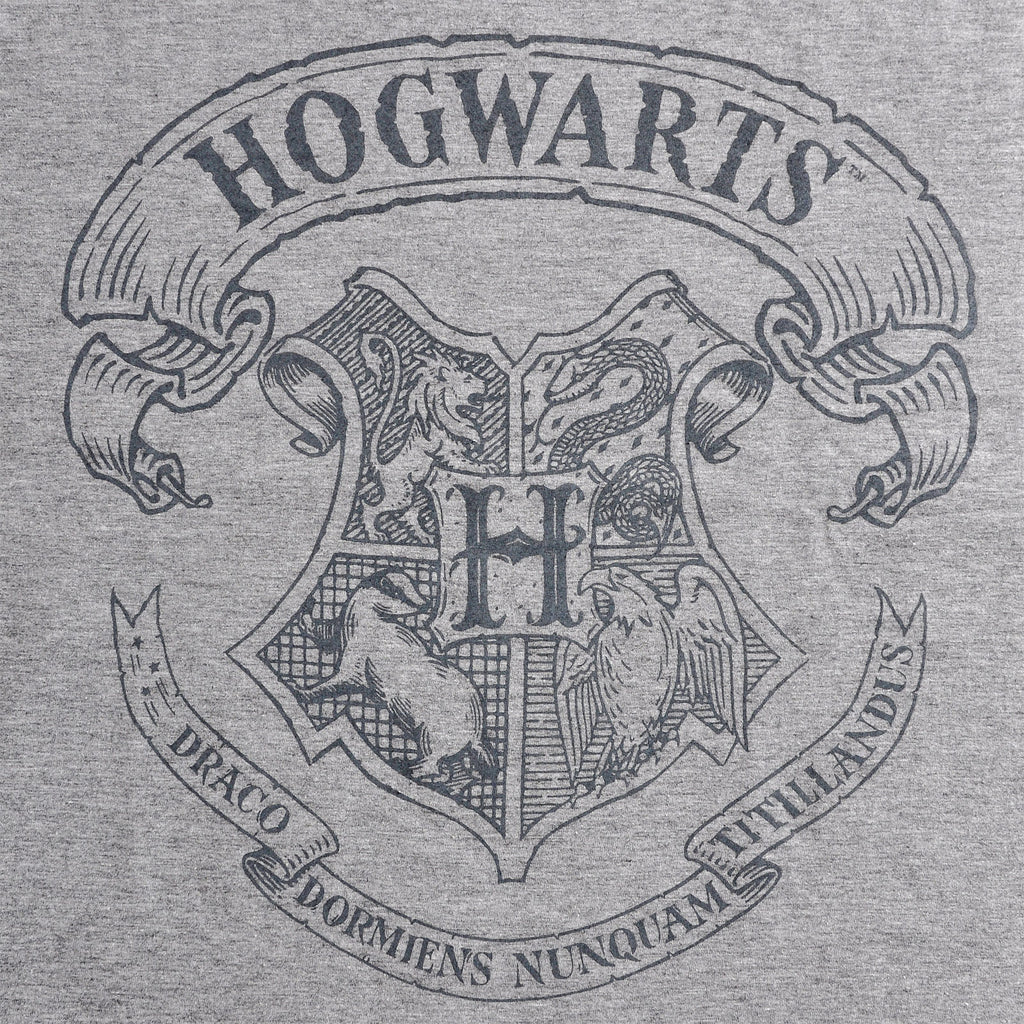 Product image Harry Potter - Logo T-Shirt Grey