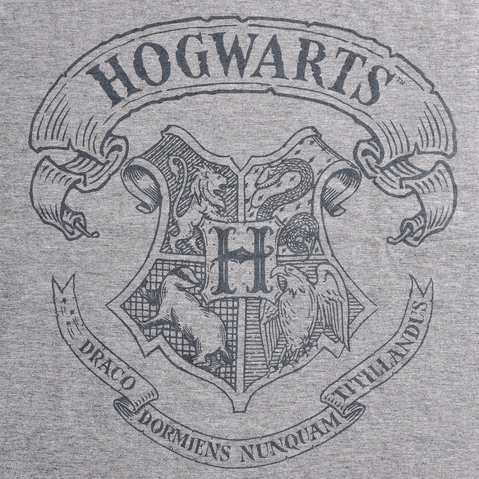 Image produit Harry Potter - T-shirt Logo Gris
