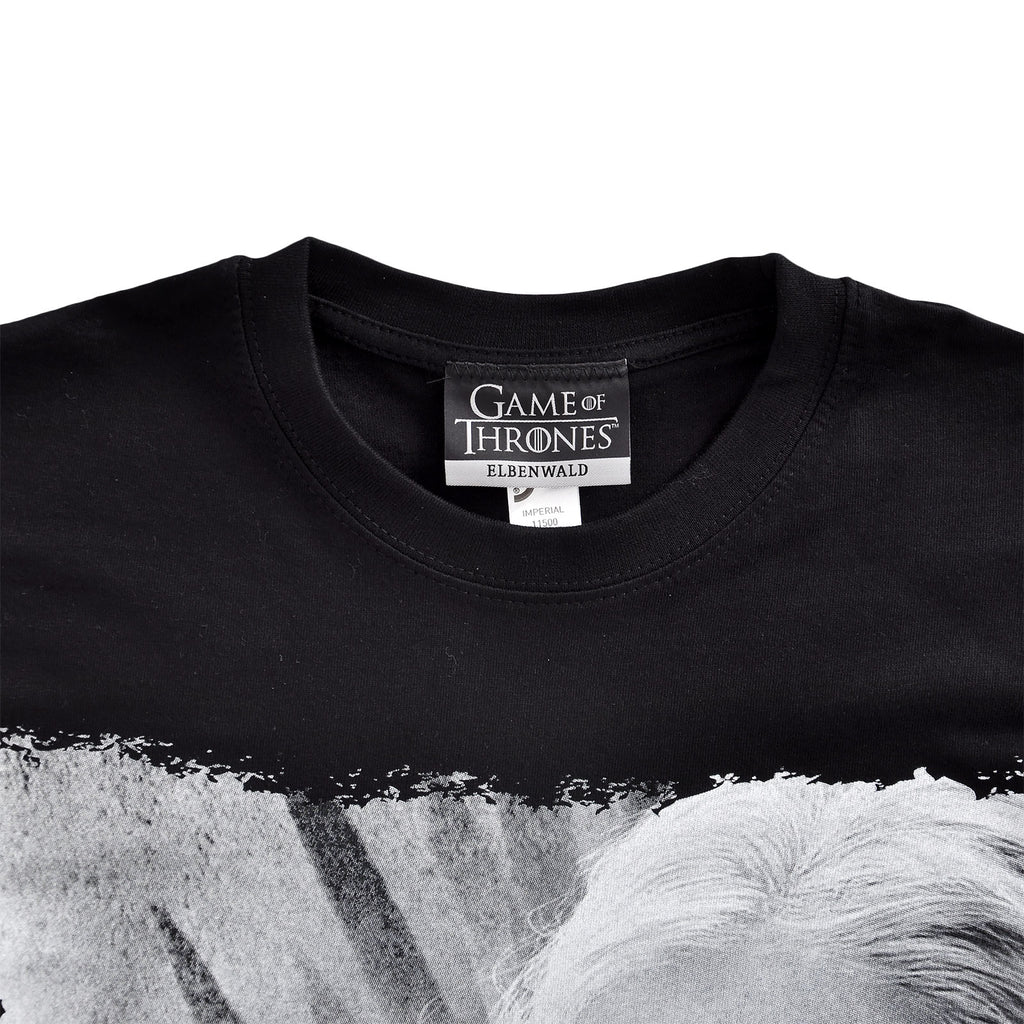 Image produit Game of Thrones - T-shirt Daenerys Fire and Blood