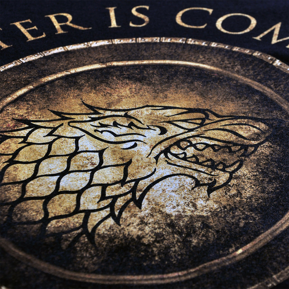 Product image Game of Thrones - House Stark Circular T-Shirt