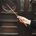 Image produit Baguette de Newt Scamander en blister - Animaux fantastiques