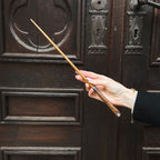 Image produit Baguette de Newt Scamander en blister - Animaux fantastiques