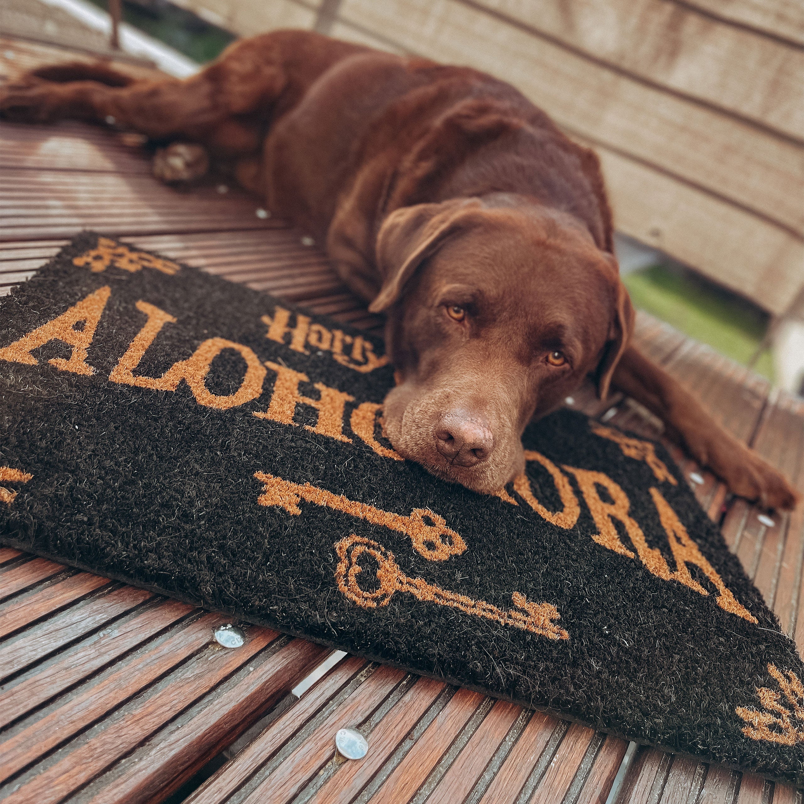 Image produit Harry Potter - Tapis Alohomora