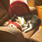 Image produit Seigneur des Anneaux - Le coussin unique