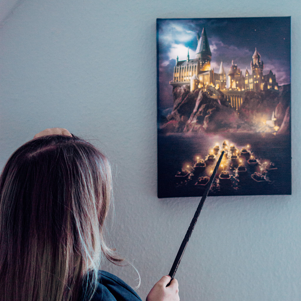 Image produit Harry Potter - Tableau mural de Poudlard avec lumière