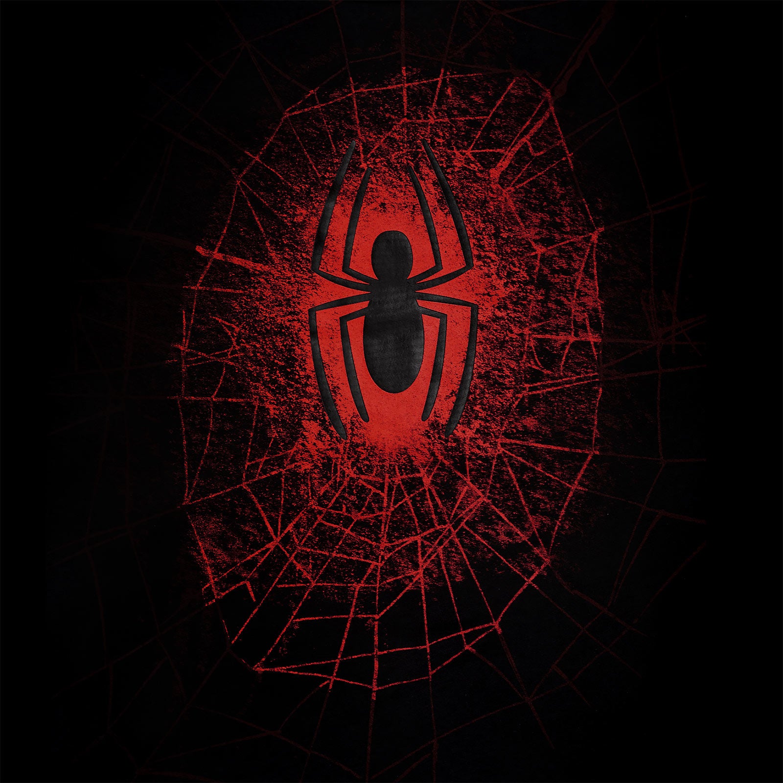 Image produit Spider-Man - T-shirt Spider Web noir