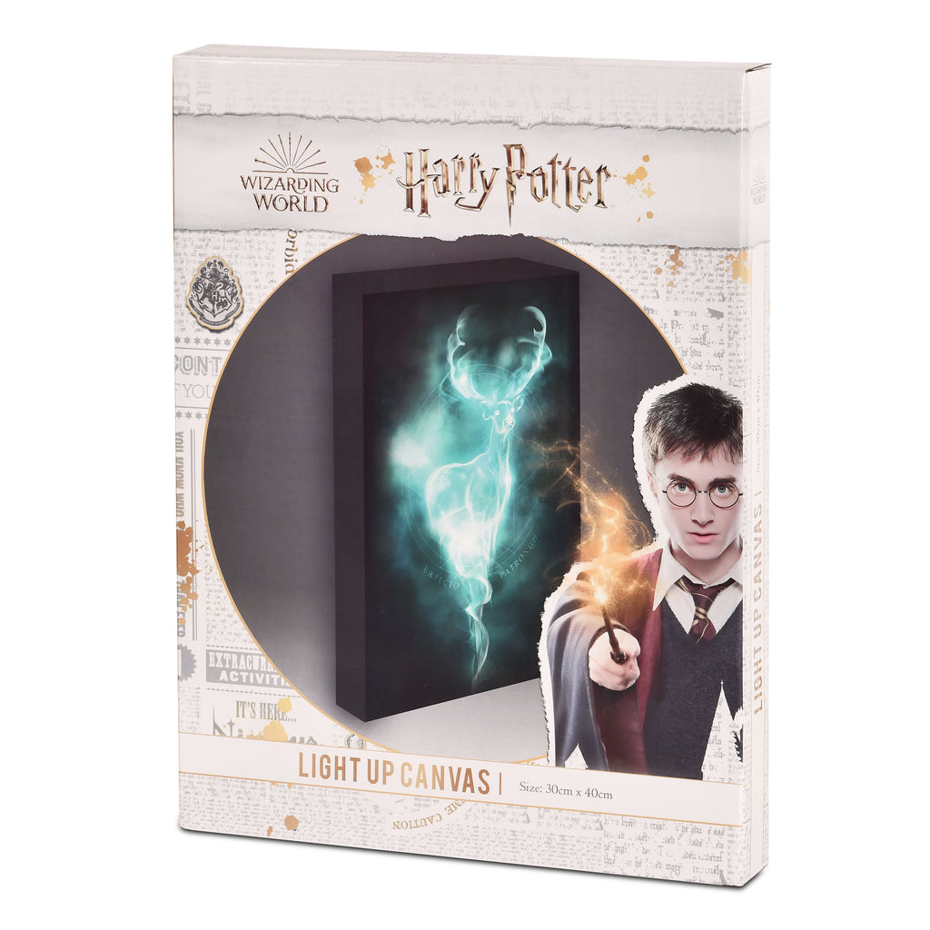Image produit Harry Potter - Image murale Patronus avec lumière