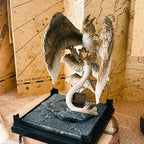 Image produit Thunderbird - Figurine Animaux Fantastiques