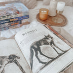 Image produit Animaux fantastiques et où les trouver - Édition de luxe
