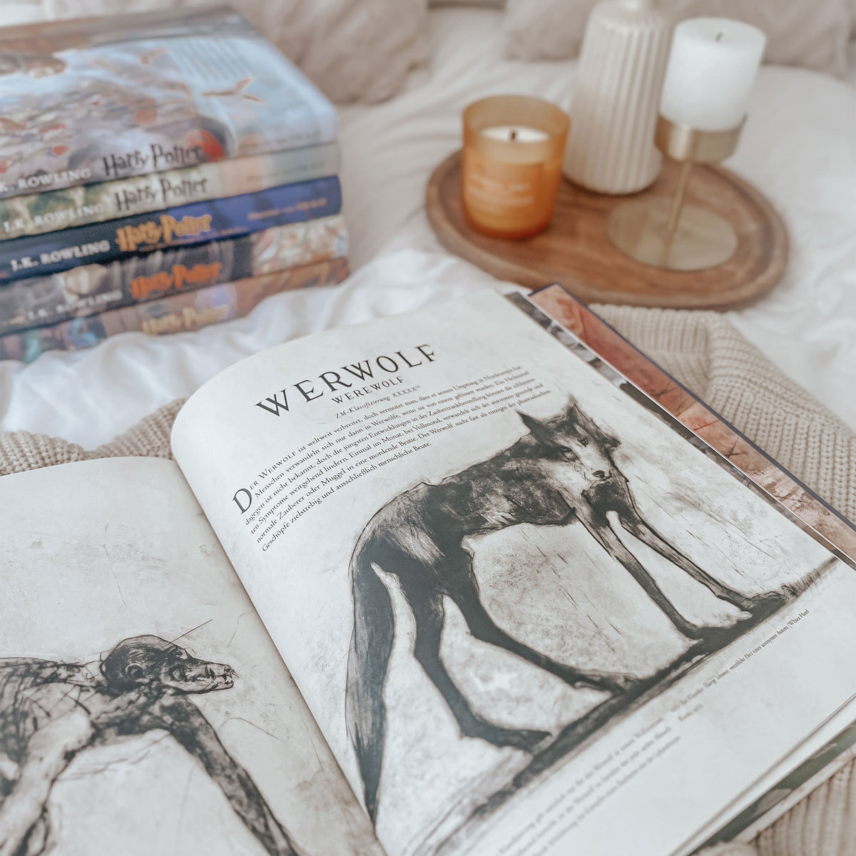Image produit Animaux fantastiques et où les trouver - Édition de luxe