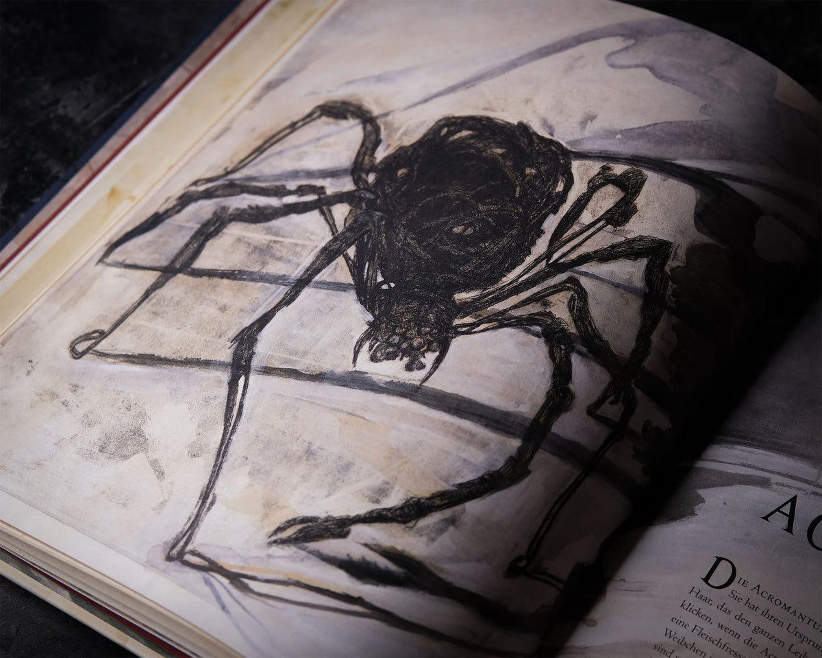 Image produit Animaux fantastiques et où les trouver - Édition de luxe