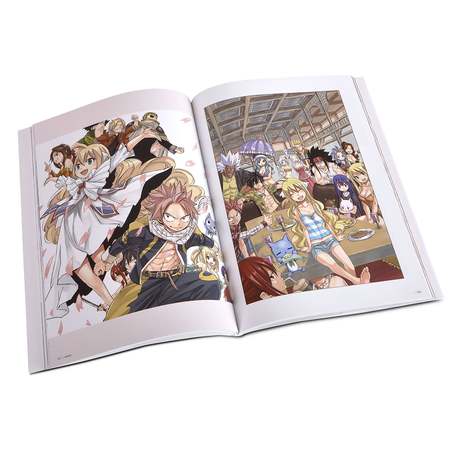 Image produit Fairy Tail - Harvest Artwork