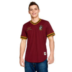 Image produit Harry Potter - T-shirt Quidditch Team Gryffindor