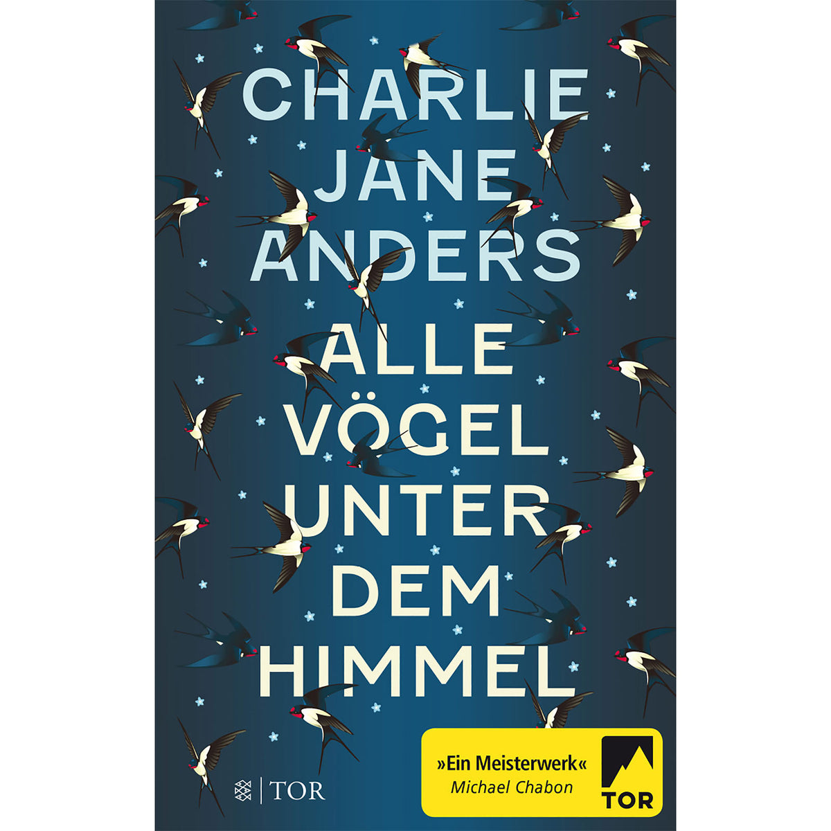 Image produit Tous les oiseaux sous le ciel - Livre de poche