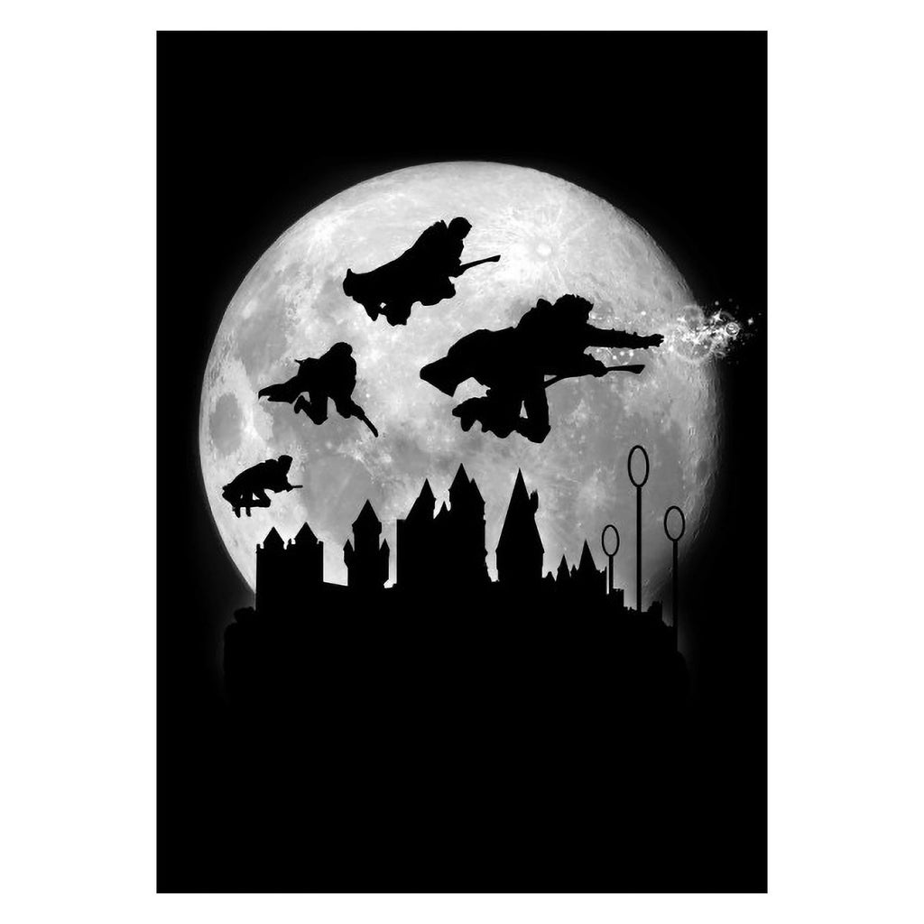 Image produit Poster métallique Magic Flight at Night pour les fans de Harry Potter