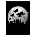 Image produit Poster métallique Magic Flight at Night pour les fans de Harry Potter