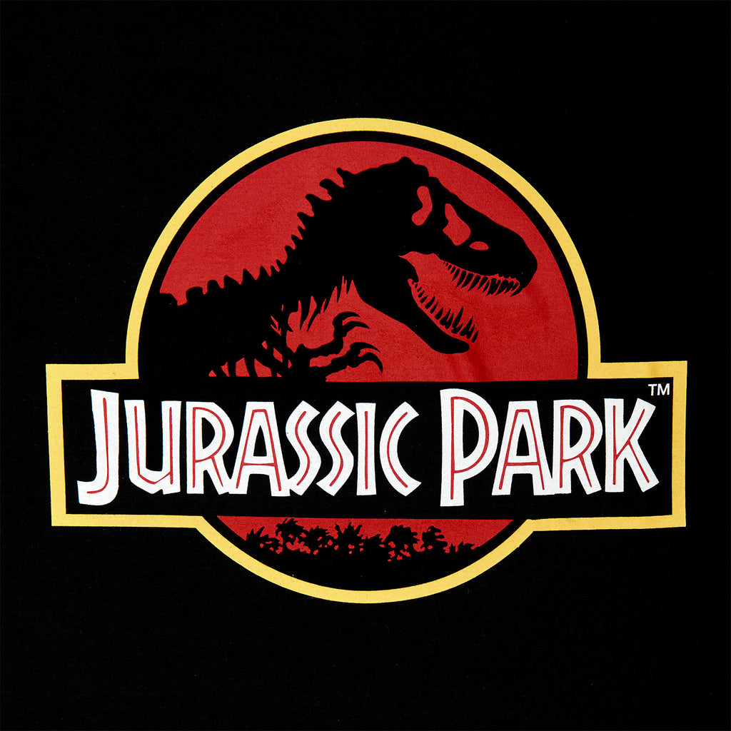 Image produit Jurassic Park - Sweat à capuche avec logo du film noir