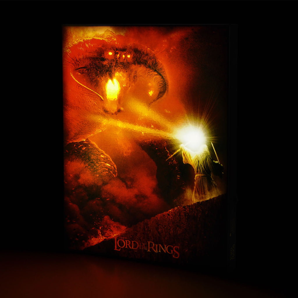 Image produit Le Seigneur des Anneaux - Tableau mural Gandalf vs. Balrog avec lumière