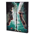 Image produit Harry Potter - Harry vs. Voldemort Tableau mural avec lumière