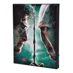 Image produit Harry Potter - Harry vs. Voldemort Tableau mural avec lumière