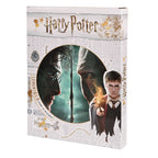 Image produit Harry Potter - Harry vs. Voldemort Tableau mural avec lumière