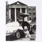 Image produit Retour vers le futur - T-shirt blanc Einstein avec DeLorean