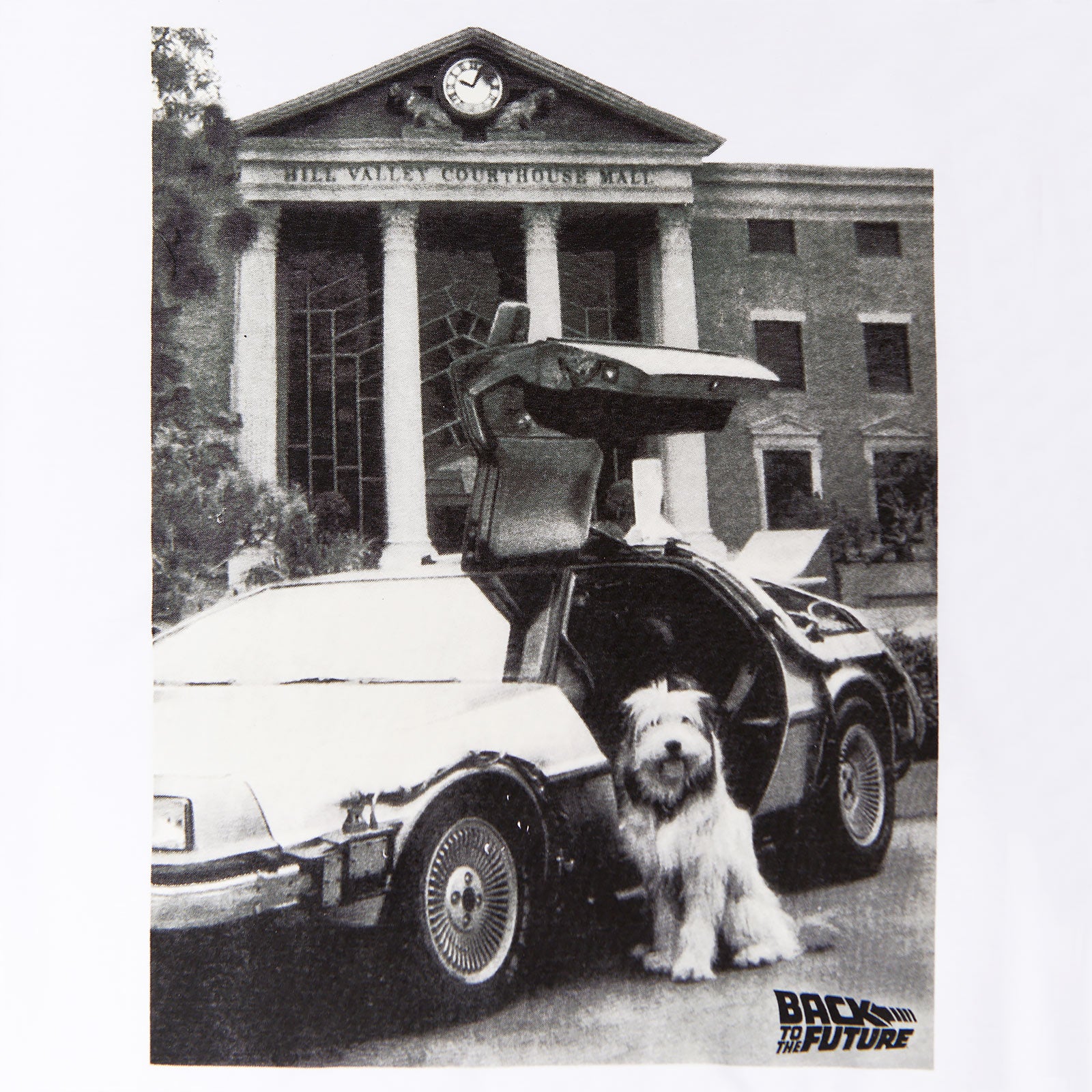Image produit Retour vers le futur - T-shirt blanc Einstein avec DeLorean