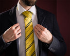 Image produit Harry Potter - Cravate Hufflepuff avec boîte cadeau