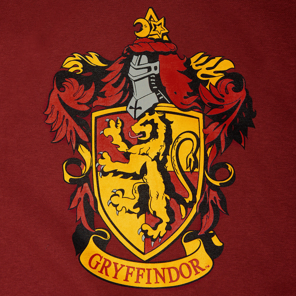 Product image Harry Potter - Gryffindor Crest Hoodie