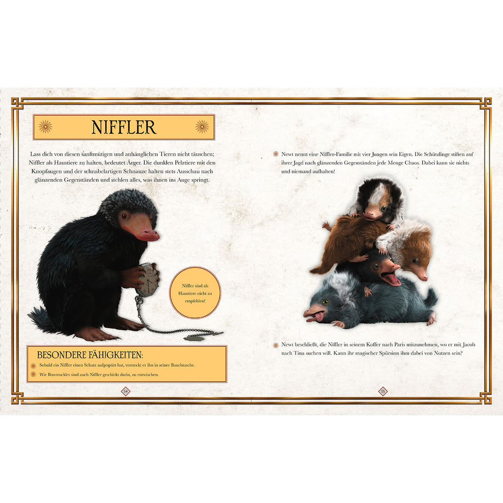 Image produit Les Animaux fantastiques - Les crimes de Grindelwald - Le livre du film