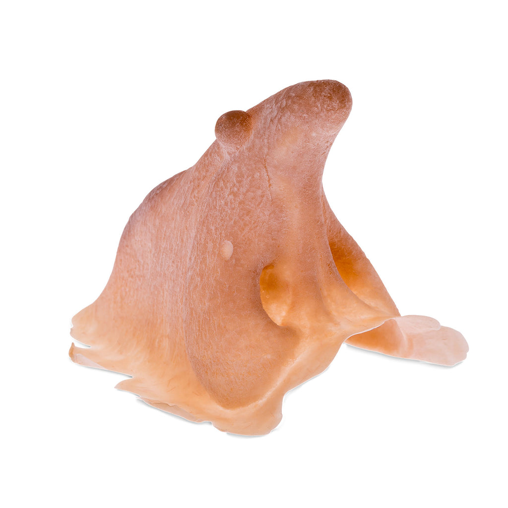 Product image Witch Nose made of Latex